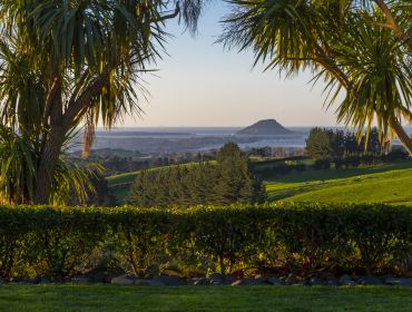 The Homestead Event and Wedding Venue, Eagle Ridge Country Estate, Garden, Mount Maunganui