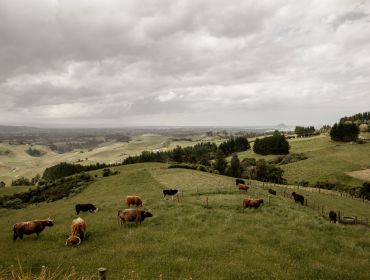 Eagle Ridge Country Estate, Wedding Venue, farmland